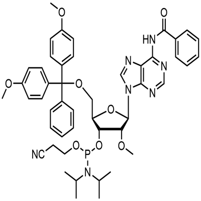 2'-O-Methyl-rA (N-Bz) فاسفورامائڈائٹ