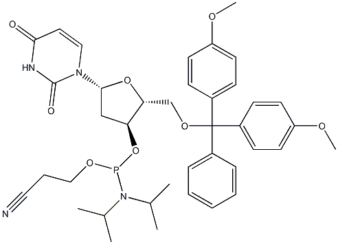 5'-DMT-dU فاسفورامیڈائٹ