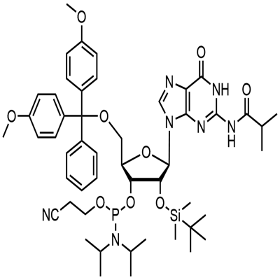5'-O-(4,4-Dimethoxytrityl)-2'-O-[(tert-butyl)dimethylsilyl]-N-isobutyrylguanosine-3'-(2-cyanoethyl-N,N-diisopropyl) فاسفورامائڈائٹ