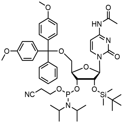 DMT-2′O-TBDMS-rC(ac) فاسفورامائڈائٹ
