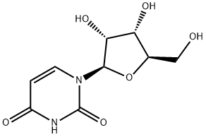 یوریڈین